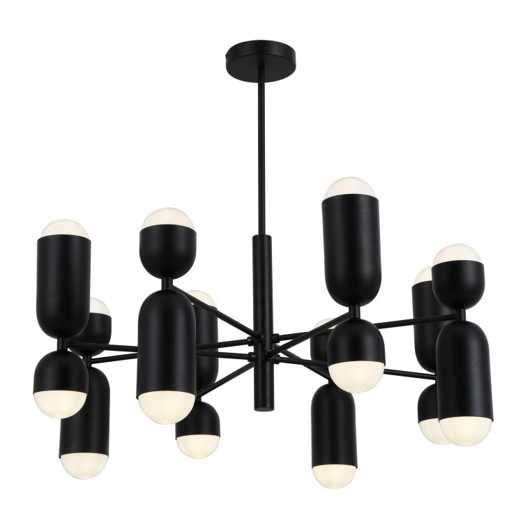 แขนโลหะสีดำแสงจี้ 16-bulbs